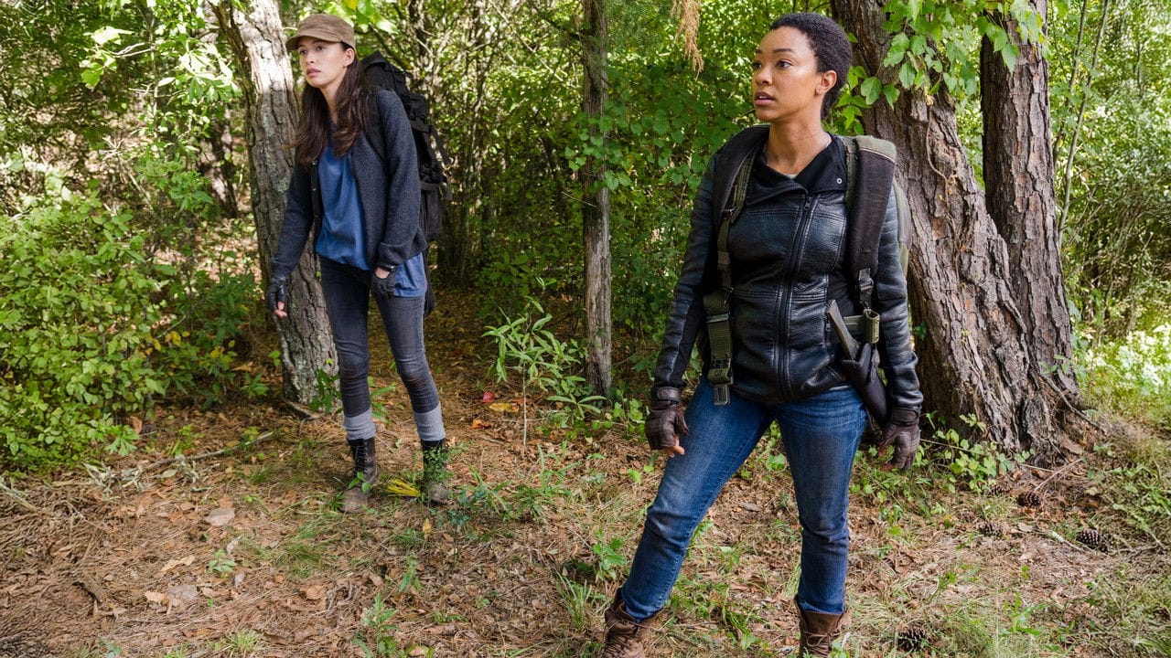 Zobacz The Walking Dead - {se_code} Online na Vider