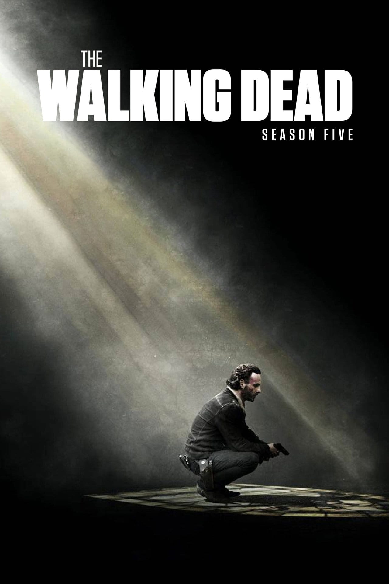 Zobacz The Walking Dead - Sezon 5 Online na Vider
