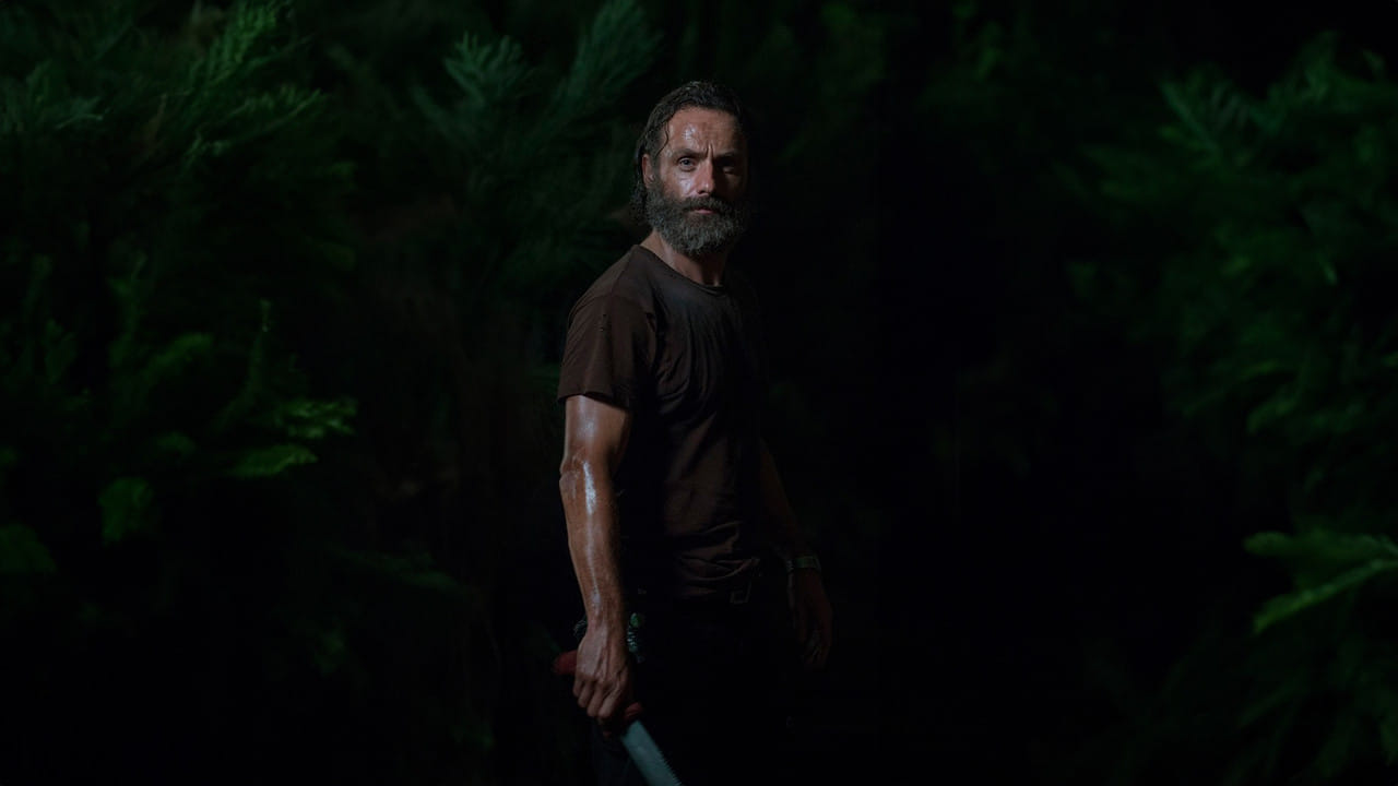 Zobacz The Walking Dead - {se_code} Online na Vider