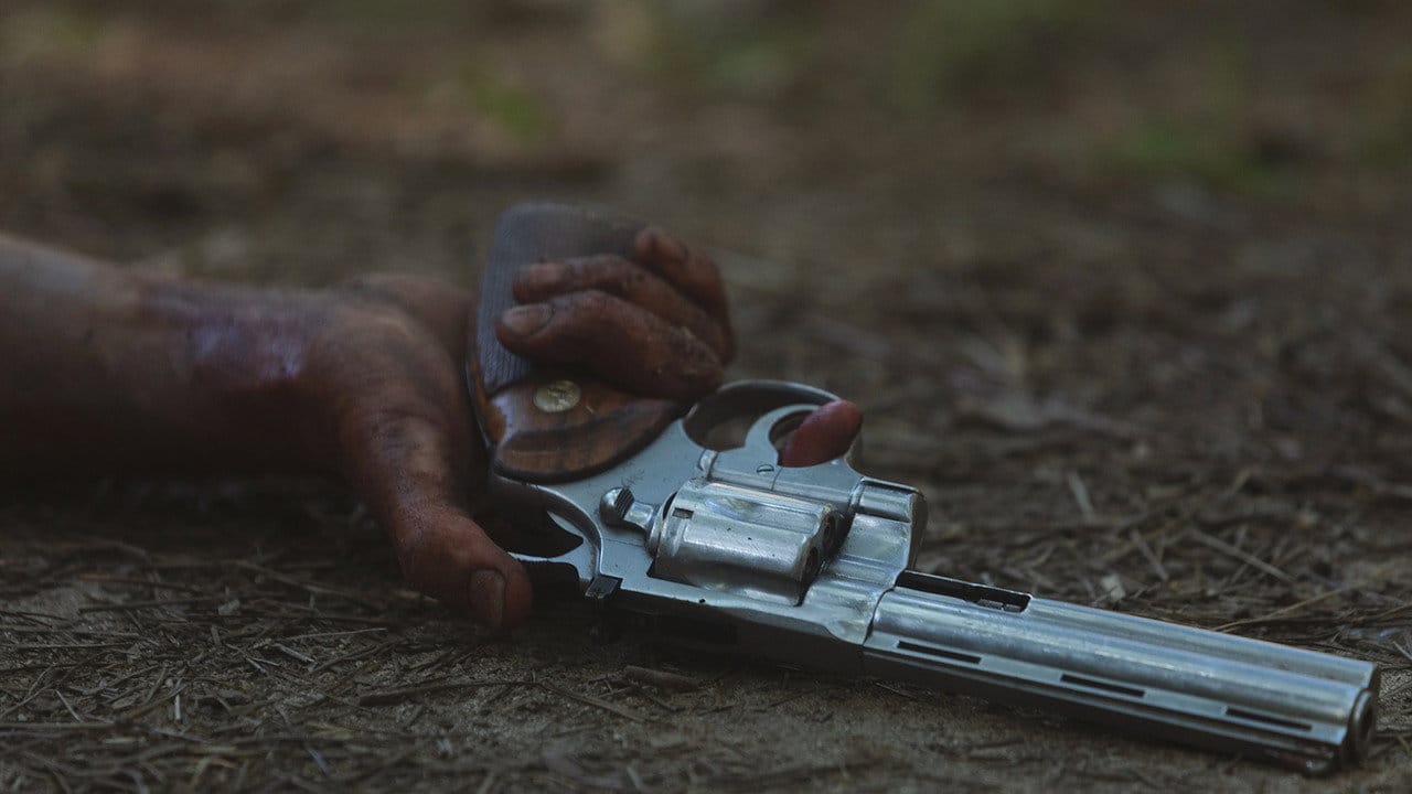 Zobacz The Walking Dead - {se_code} Online na Vider