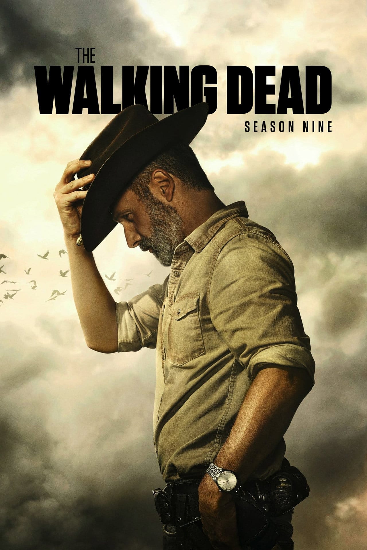 Zobacz The Walking Dead - Sezon 9 Online na Vider
