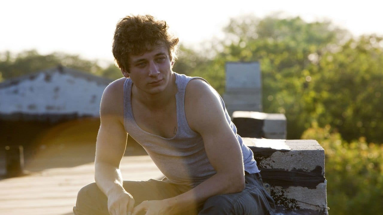 Zobacz Shameless - Niepokorni - {se_code} Online na Vider