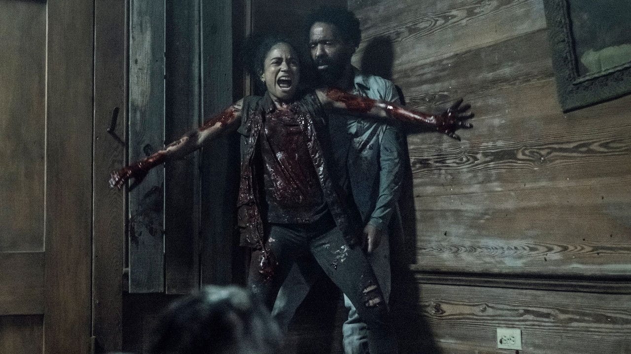 Zobacz The Walking Dead - {se_code} Online na Vider