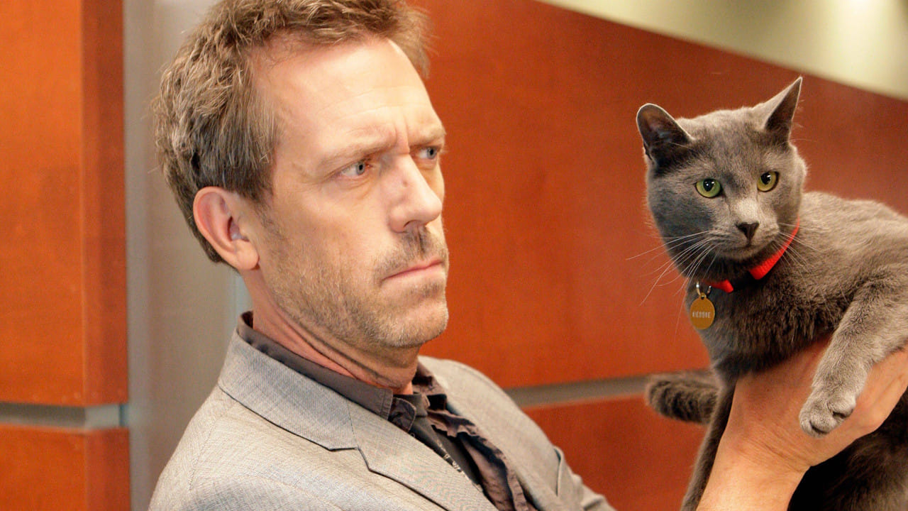 Zobacz Dr House - {se_code} Online na Vider