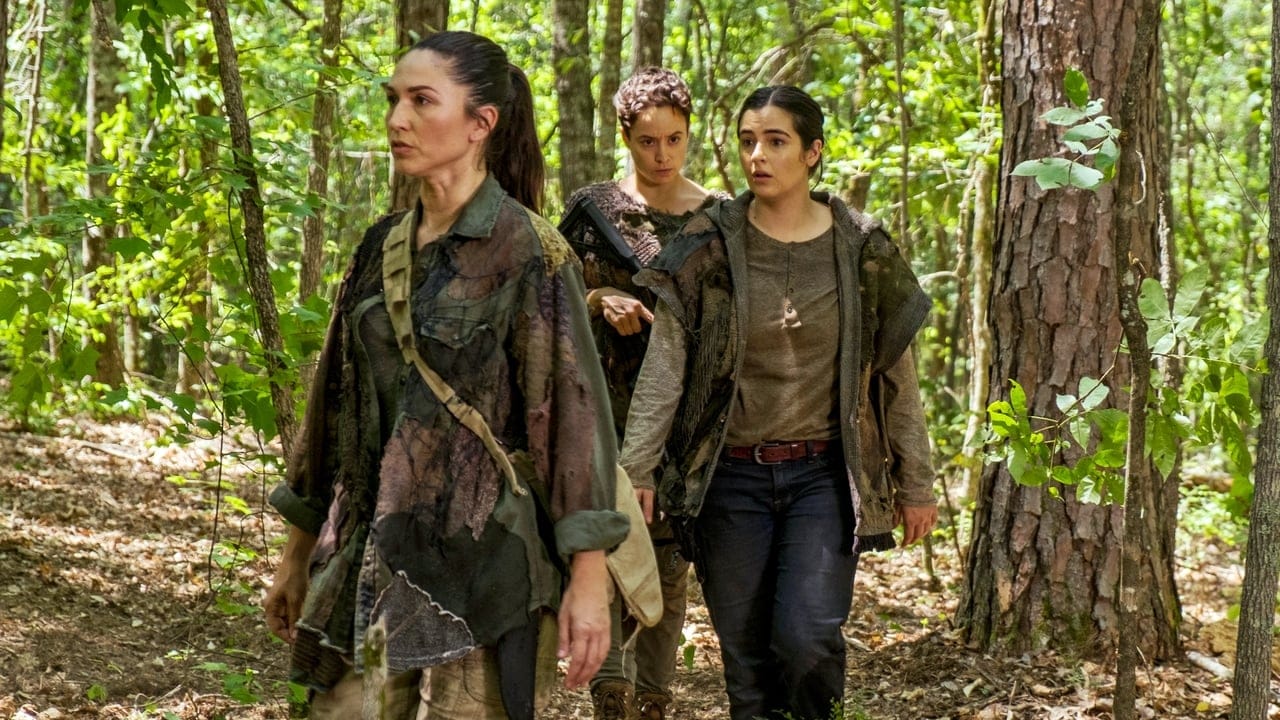 Zobacz The Walking Dead - {se_code} Online na Vider