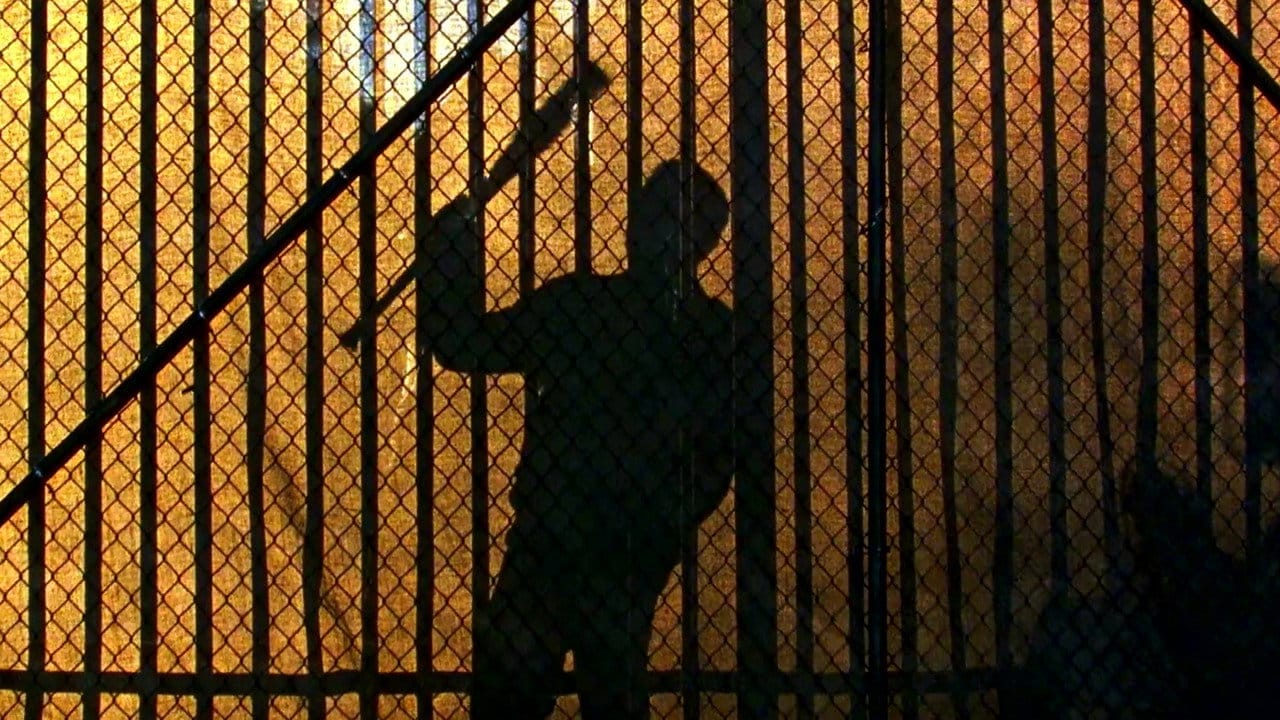 Zobacz The Walking Dead - {se_code} Online na Vider