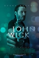 Zobacz John Wick Online na Vider