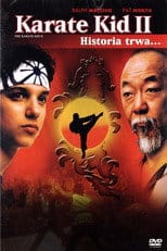 Zobacz Karate Kid 2 Online na Vider