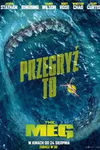 Zobacz The Meg Online na Vider