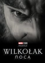 Zobacz Wilkołak nocą Online na Vider