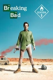 Zobacz Breaking Bad - Sezon 1 Online na Vider