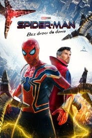 Zobacz Spider-Man: Bez drogi do domu Online na Vider
