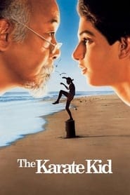 Zobacz Karate Kid Online na Vider