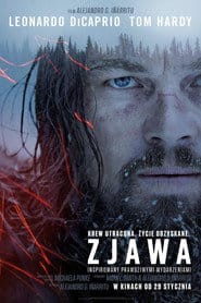 Zobacz Zjawa Online na Vider