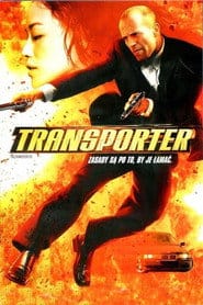 Zobacz Transporter Online na Vider