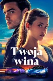 Zobacz Twoja wina Online na Vider