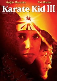 Zobacz Karate Kid 3 Online na Vider