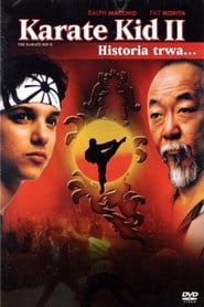 Zobacz Karate Kid 2 Online na Vider