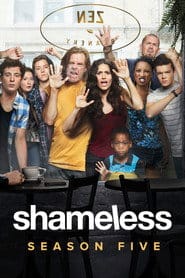 Zobacz Shameless - Niepokorni - Sezon 5 Online na Vider