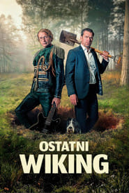Zobacz Ostatni wiking Online na Vider