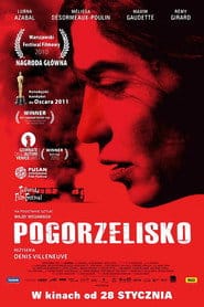 Zobacz Pogorzelisko Online na Vider