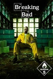 Zobacz Breaking Bad - Sezon 5 Online na Vider