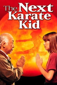 Zobacz Karate Kid 4. Mistrz i uczennica Online na Vider