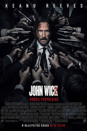 Zobacz John Wick 2 Online na Vider