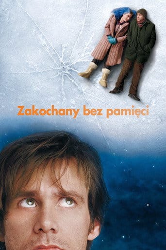 Zobacz Zakochany bez pamięci Online na Vider