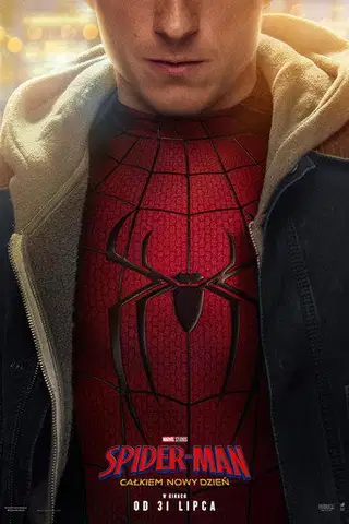 Zobacz Spider-Man: Całkiem nowy dzień Online na Vider
