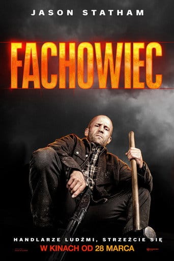 Zobacz Fachowiec Online na Vider