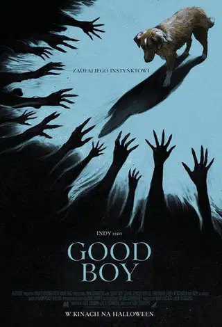 Zobacz Good boy Online na Vider