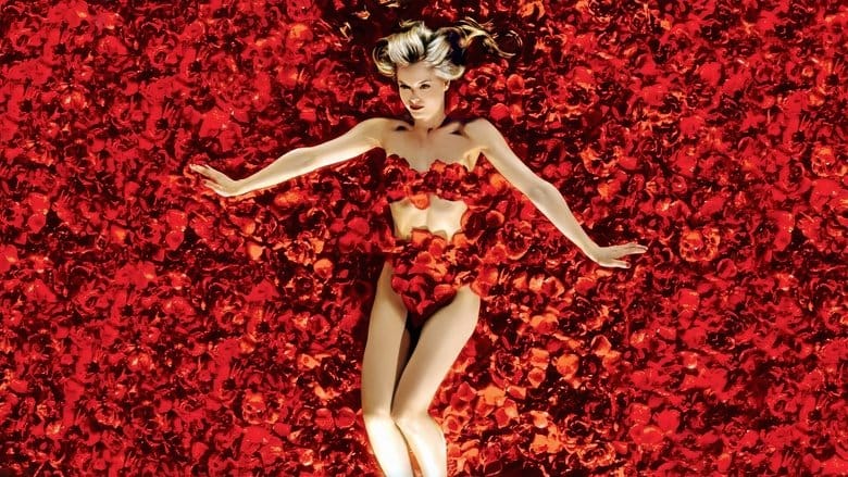 Zobacz American Beauty Online na Vider