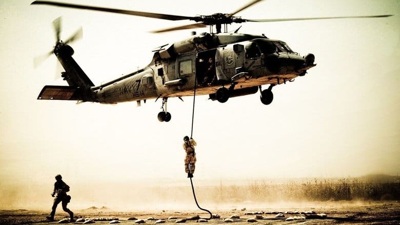 Zobacz Helikopter w ogniu Online na Vider