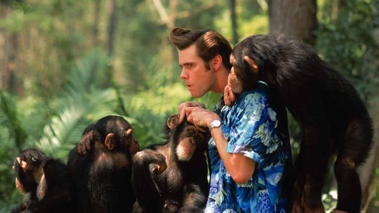 Zobacz Ace Ventura: Zew natury Online na Vider
