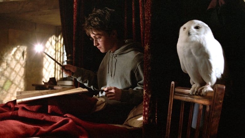 Zobacz Harry Potter i więzień Azkabanu Online na Vider