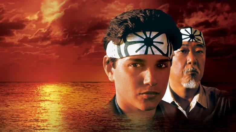 Zobacz Karate Kid Online na Vider